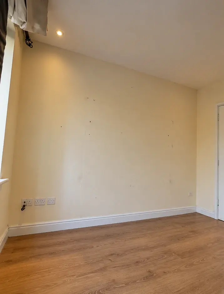 A plain painted living room wall with sockets at skirting level